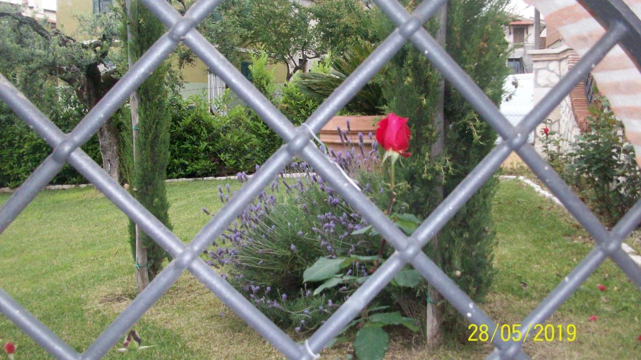 Canneto  Il Giardino Degli Ulivi Bed & Breakfast エクステリア 写真